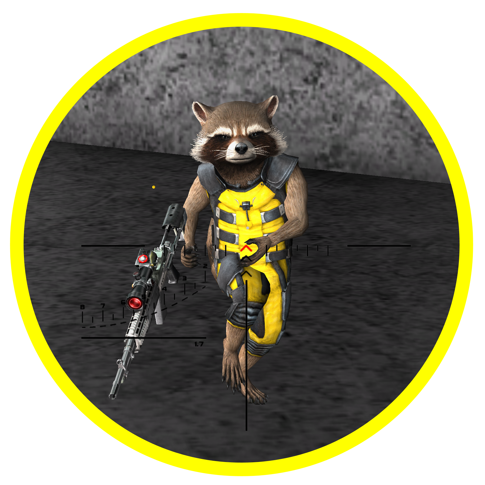 Racoon skin